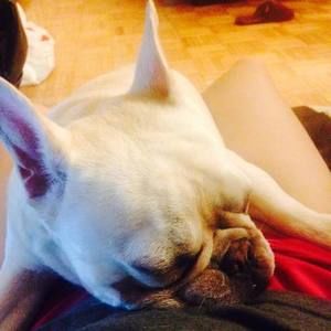 Meet your Posher, Wei